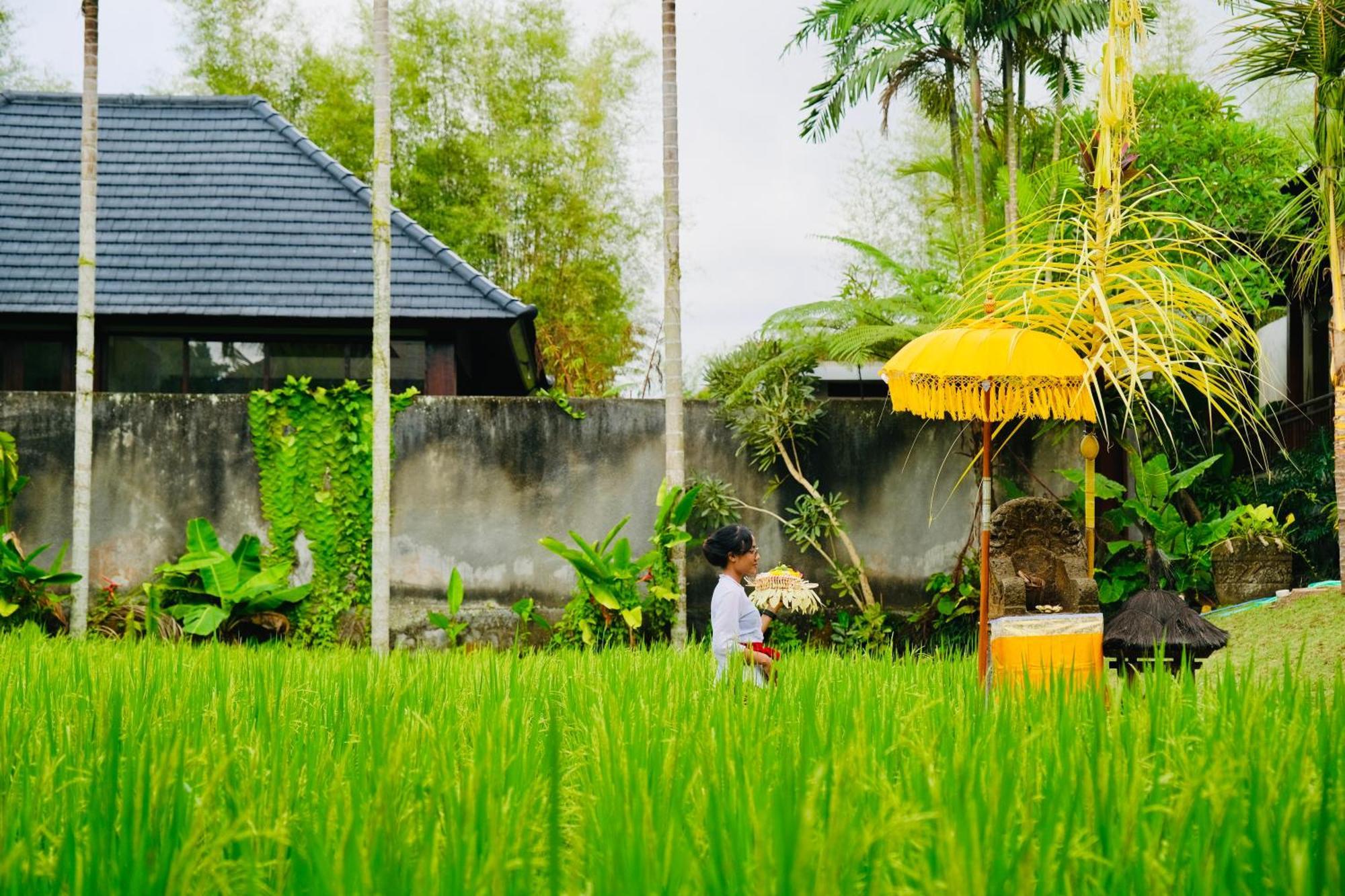 Wana Karsa The Villas Ubud Zewnętrze zdjęcie